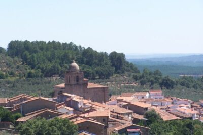 Acebo
