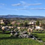 Hortigüela. Pueblos de Burgos