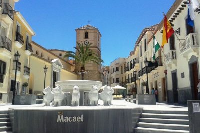 macael