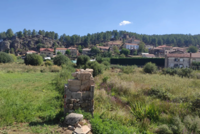 Rabanera Del Pinar