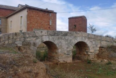 Sordillos