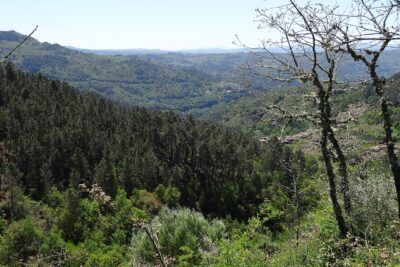 A Peroxa, Ourense
