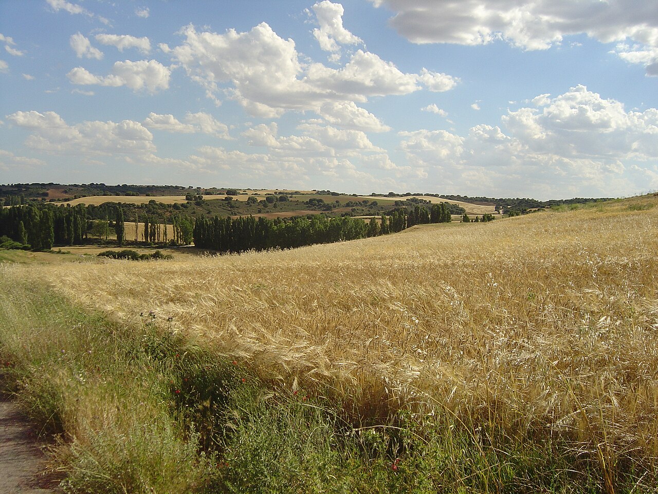 Albendea, Cuenca