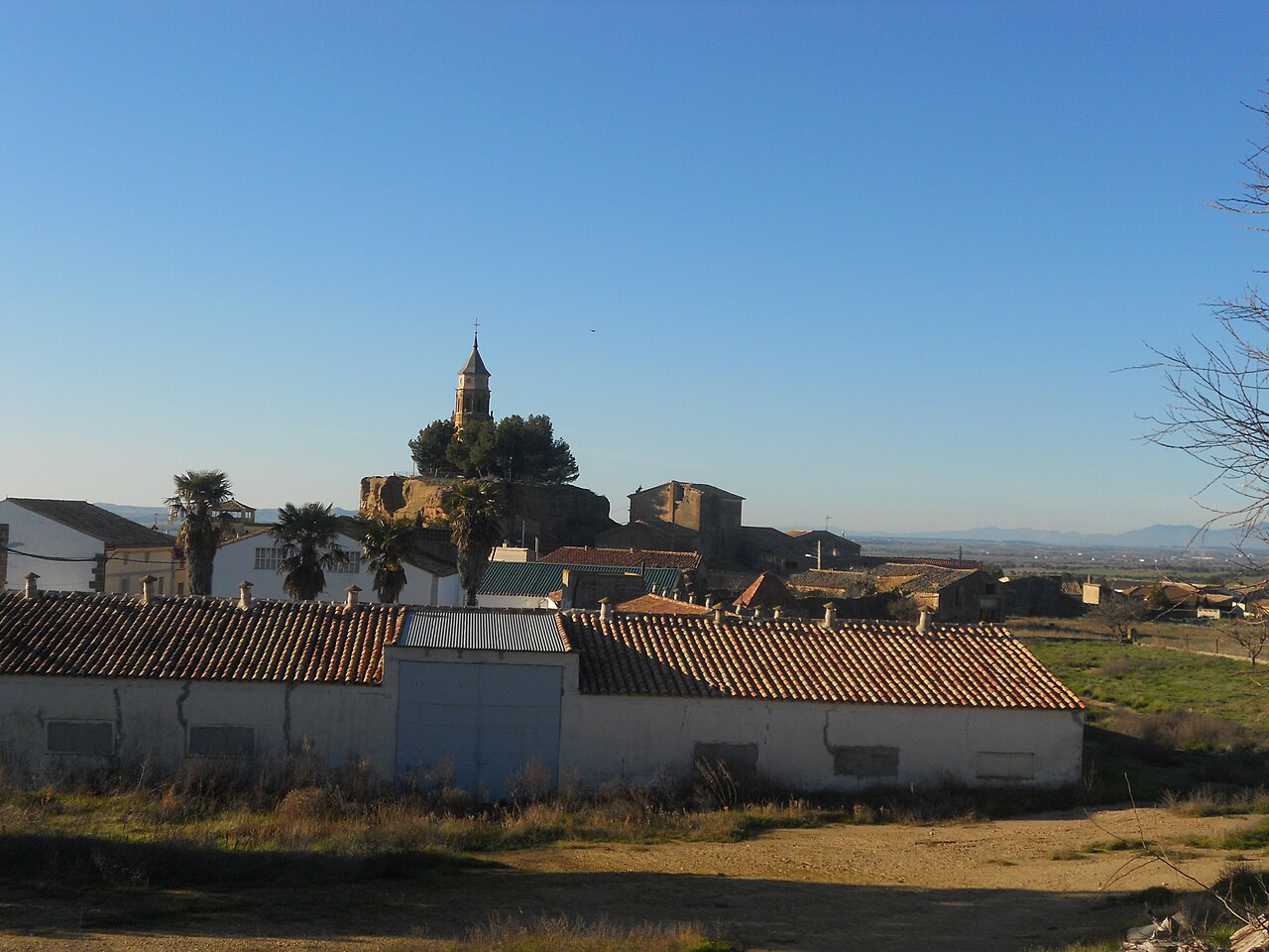 Albero Alto, Huesca