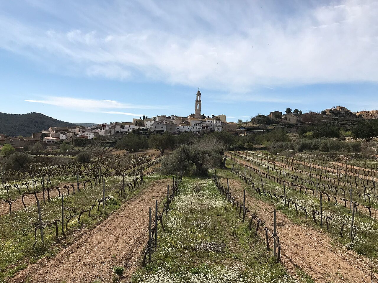 Albinyana, Tarragona