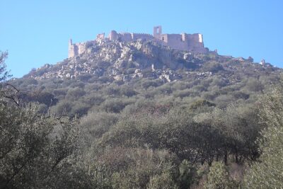 Aldea del Rey, Ciudad Real