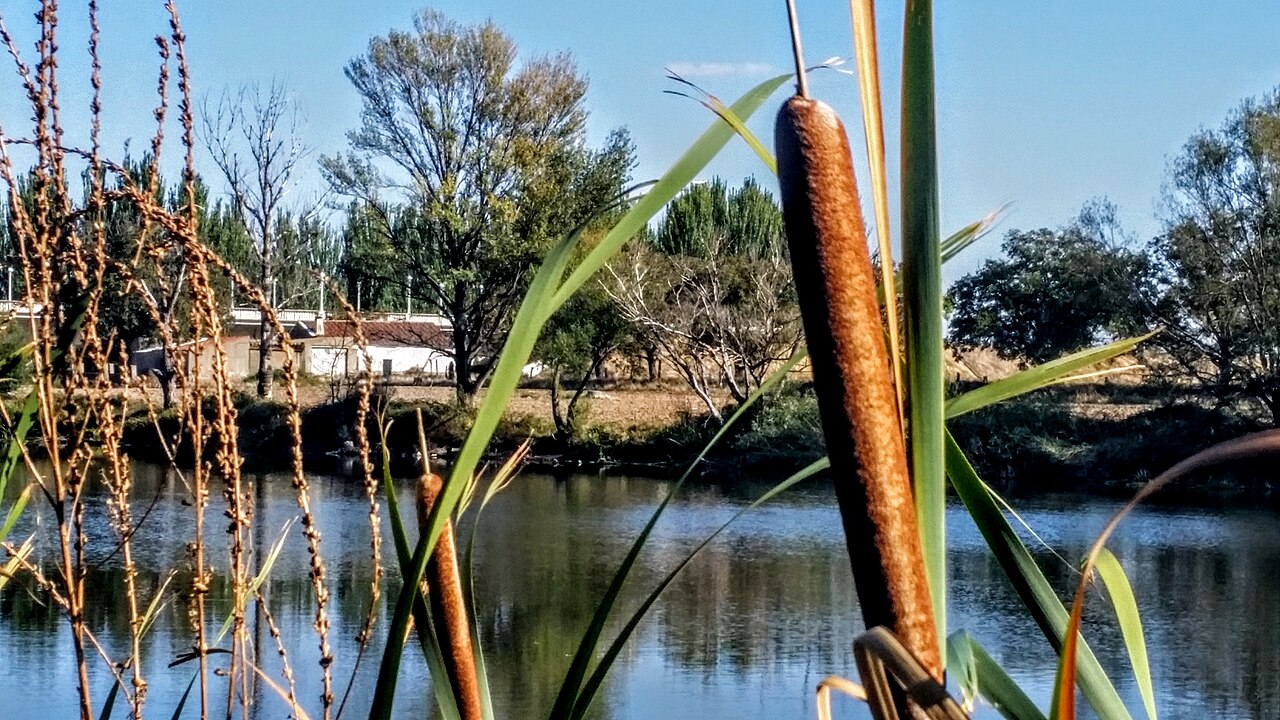 Aldeatejada, Salamanca