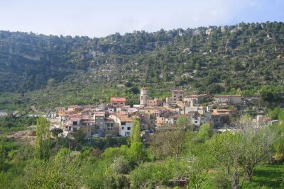Arboli, Tarragona