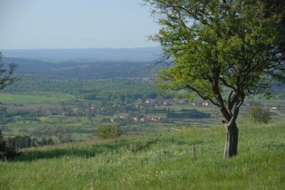 Arcones, Segovia