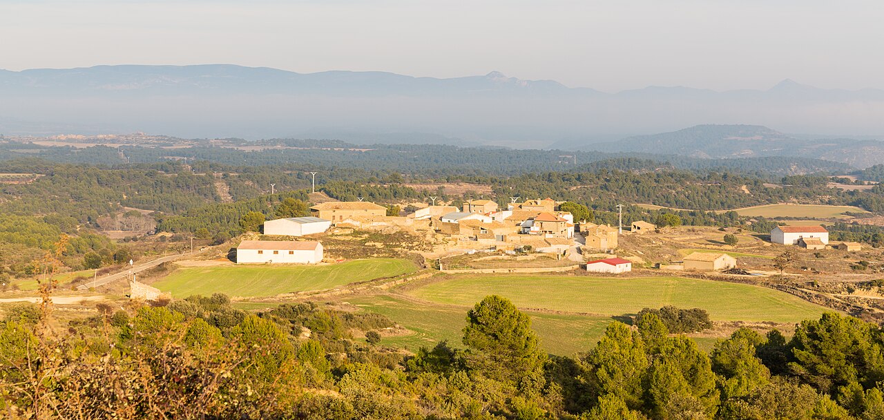 Ardisa, Zaragoza