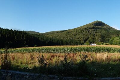 Artea, Vizcaya