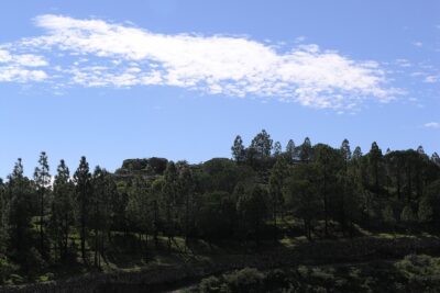 Artenara, Las Palmas