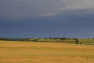 Bliecos, Soria
