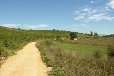 Camponaraya, León