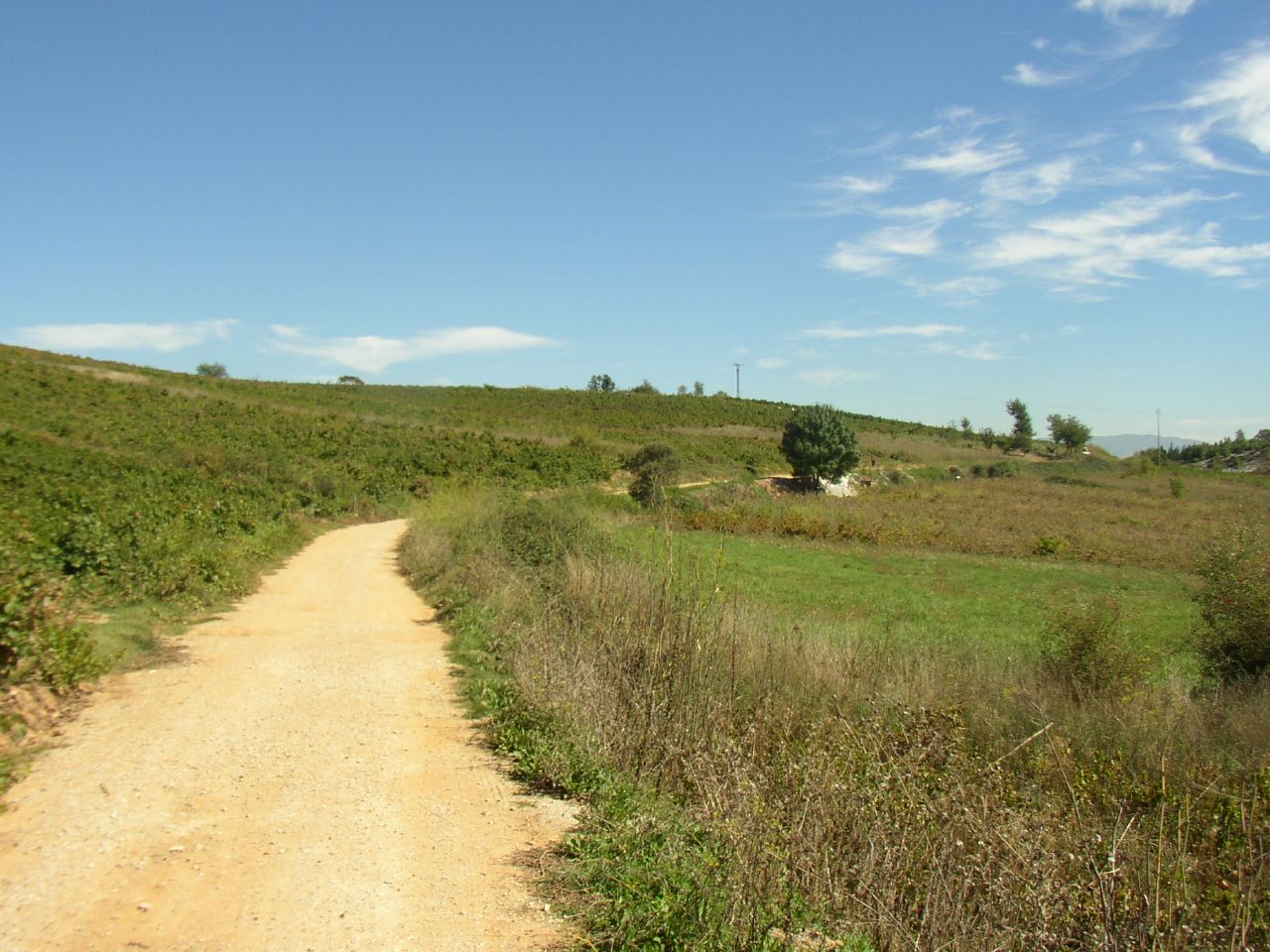 Camponaraya, León