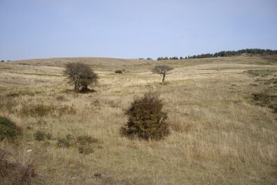 Campoo de Enmedio, Cantabria