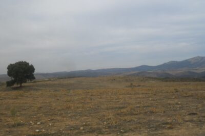 Cañaveral, Cáceres