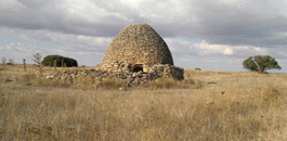 Casas de Haro, Cuenca