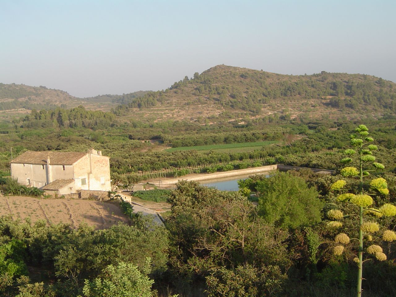 Castellnovo, Castellón