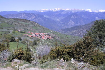 Cava, Lleida