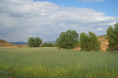 Cetina, Zaragoza