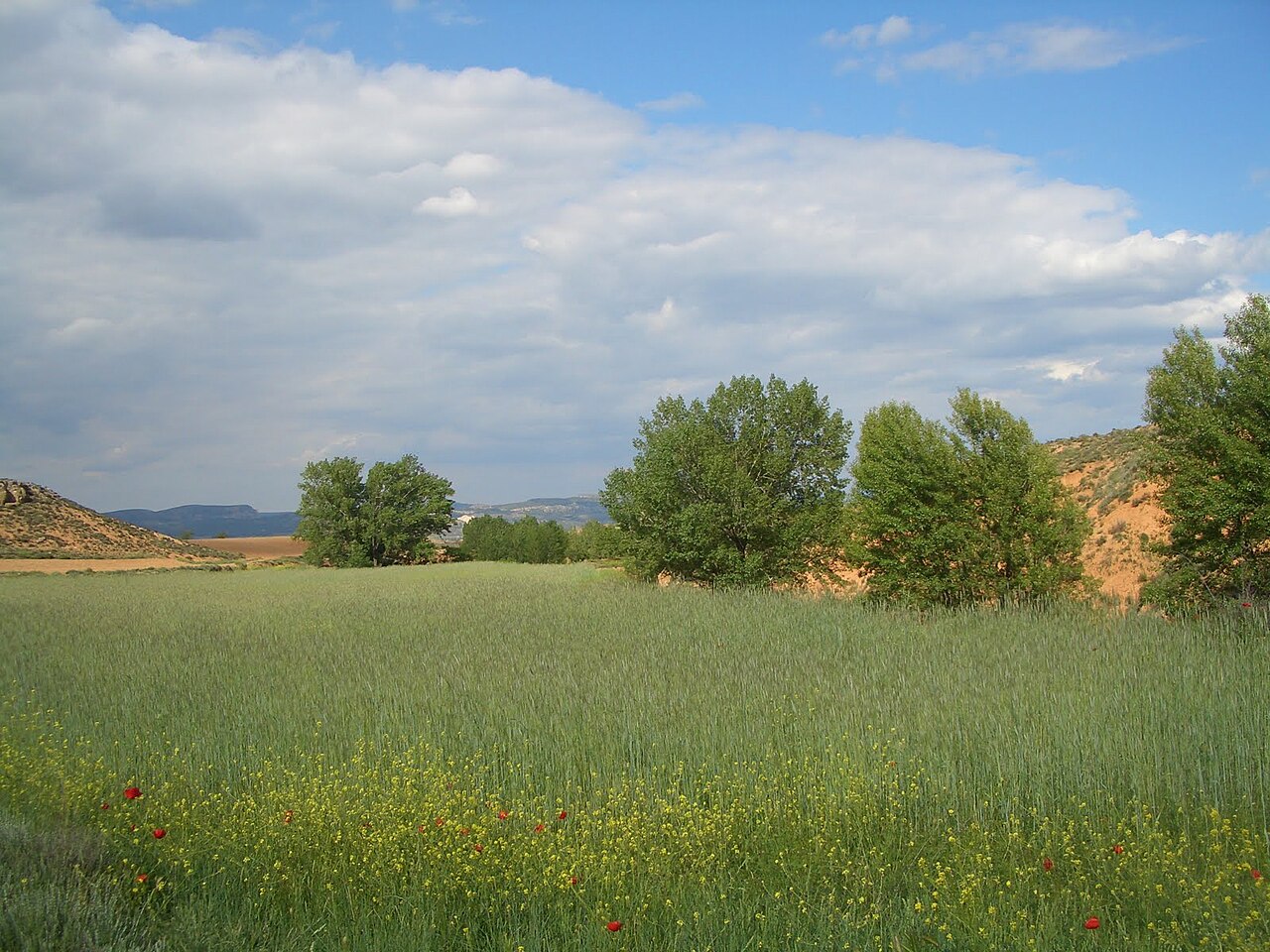 Cetina, Zaragoza