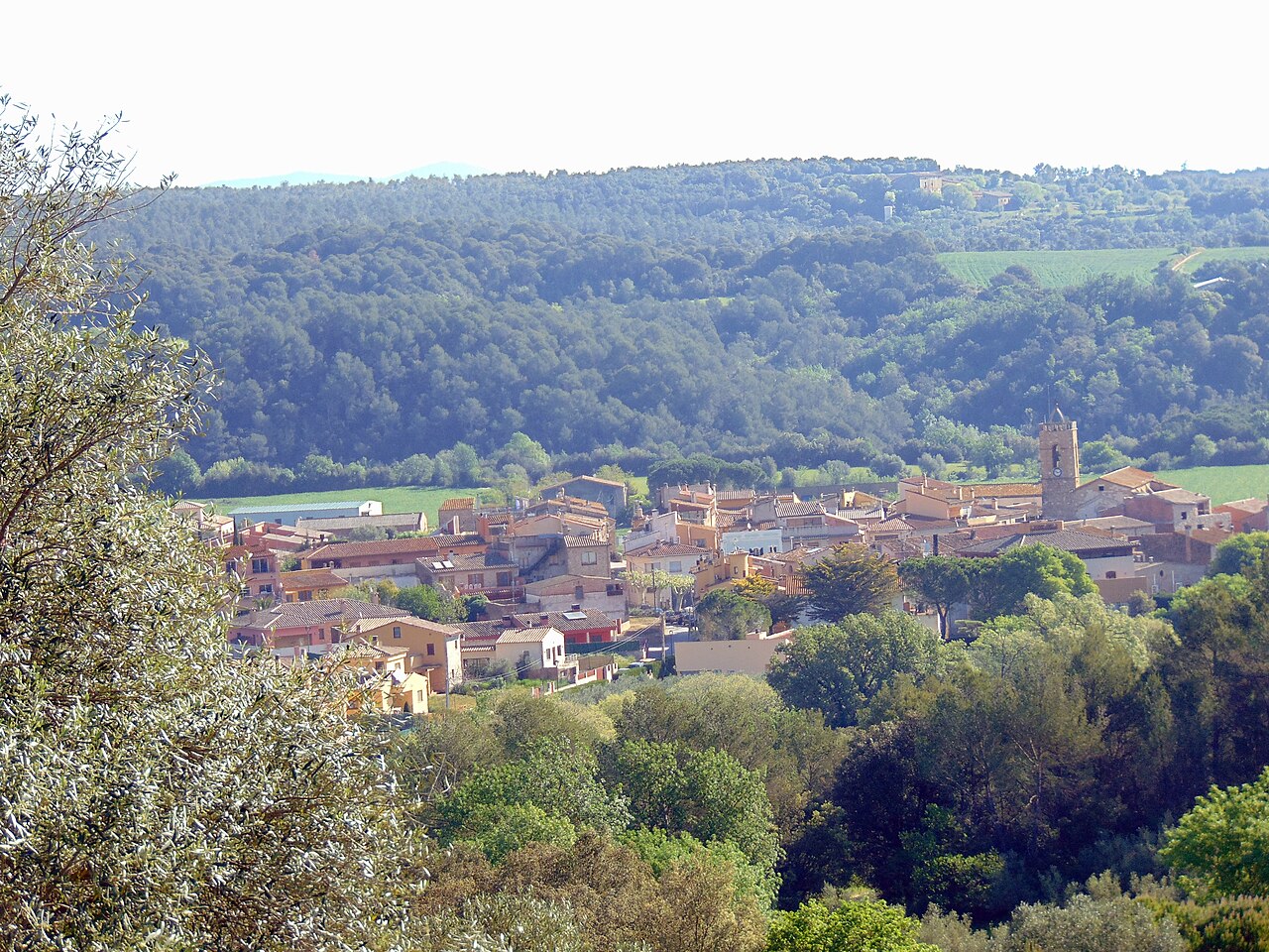 Cistella, Girona