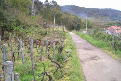 Cortegada, Ourense