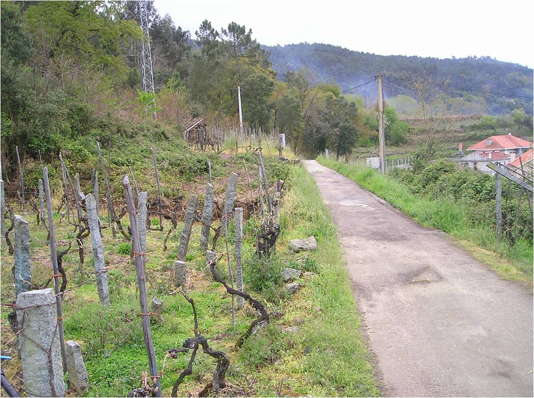 Cortegada, Ourense