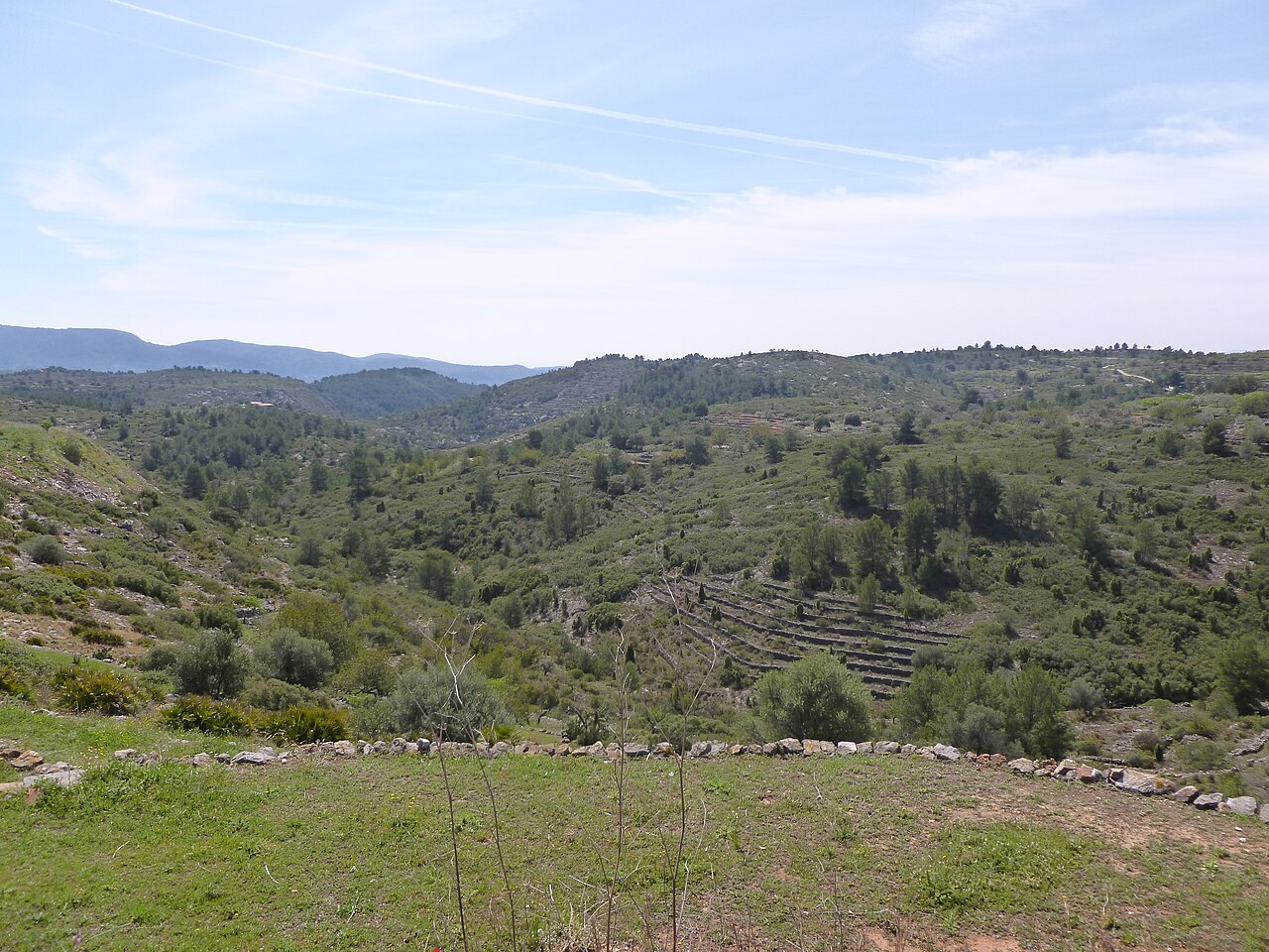 Costur, Castellón