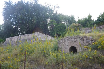 El Bosque, Cádiz