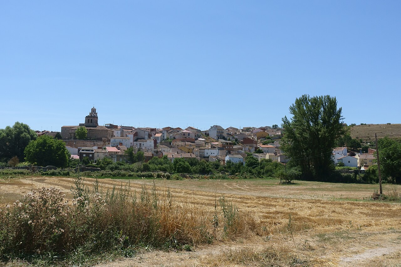 Espinosa de Cerrato, Palencia