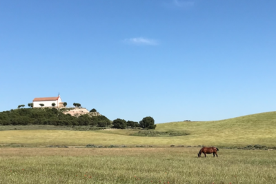 Fustiñana, Navarra