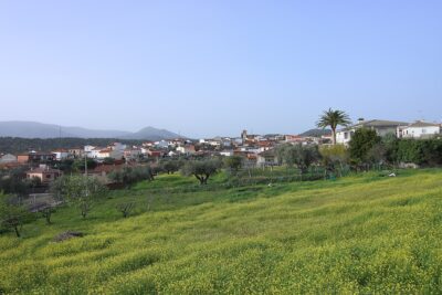 Garciotum, Toledo