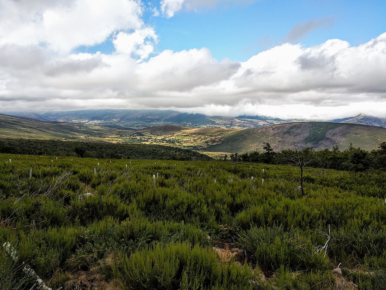 Hermandad de Campoo de Suso, Cantabria