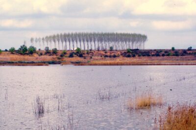 Ivars D'urgell, Lleida