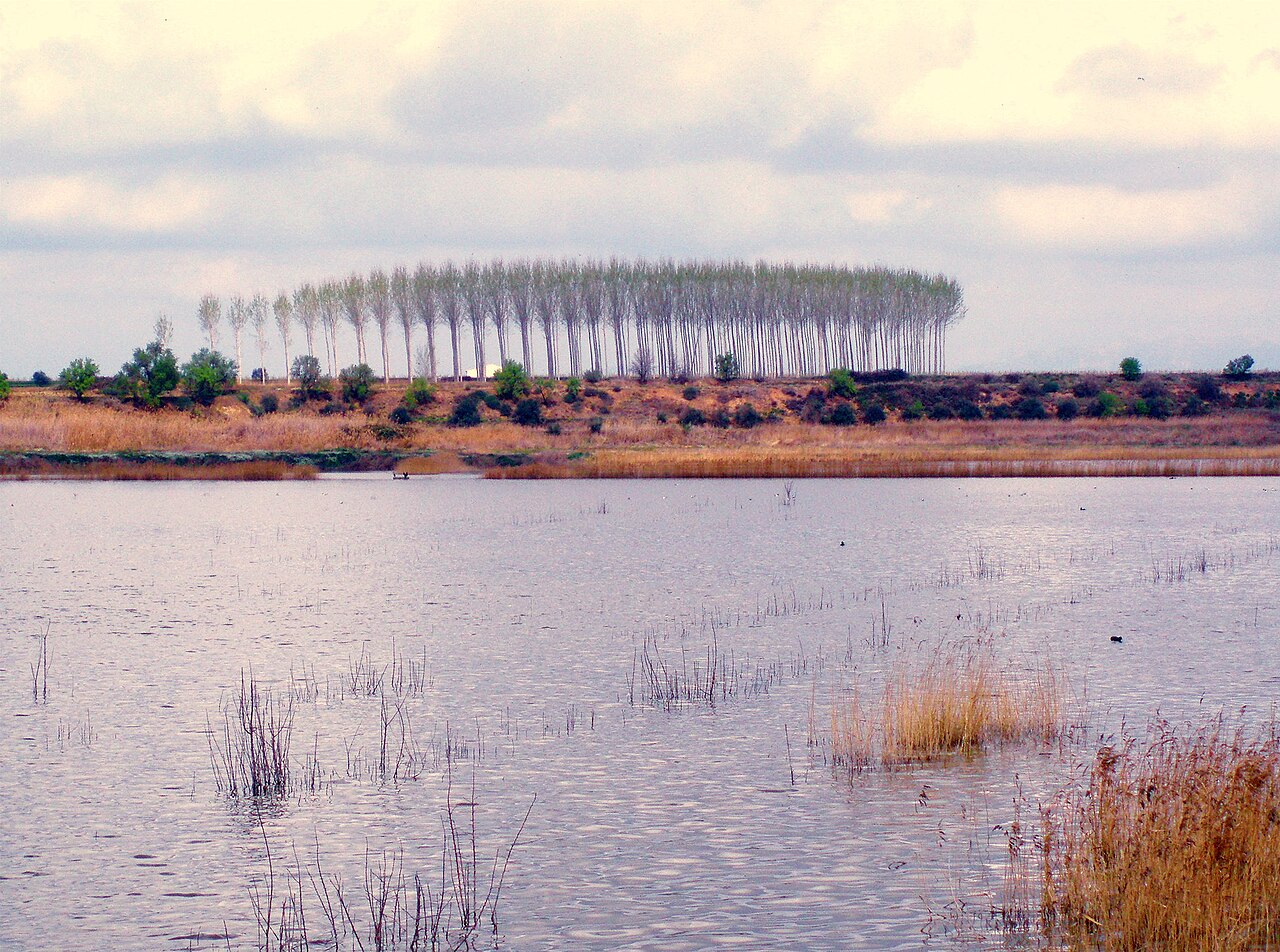 Ivars D'urgell, Lleida