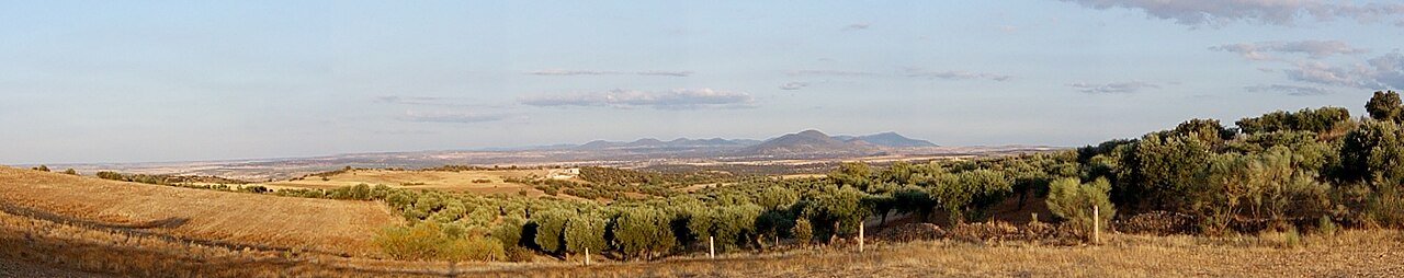 La Estrella, Toledo