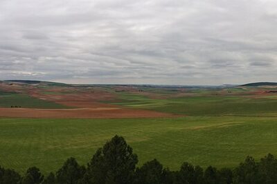 La Hinojosa, Cuenca