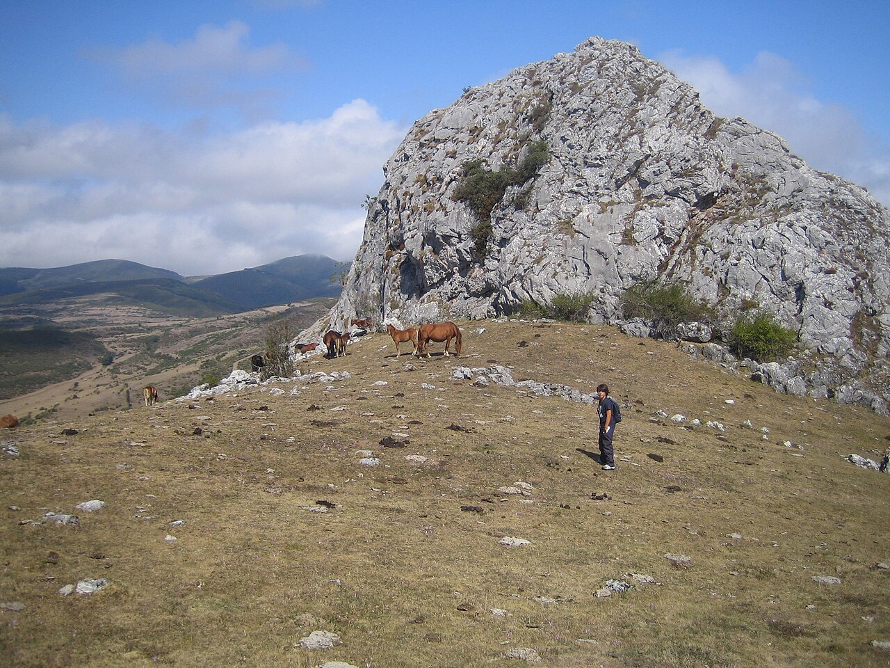 La Pernía, Palencia