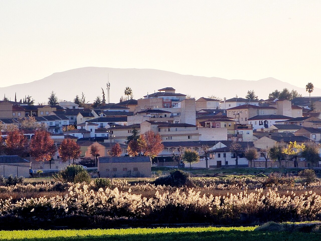Láchar, Granada