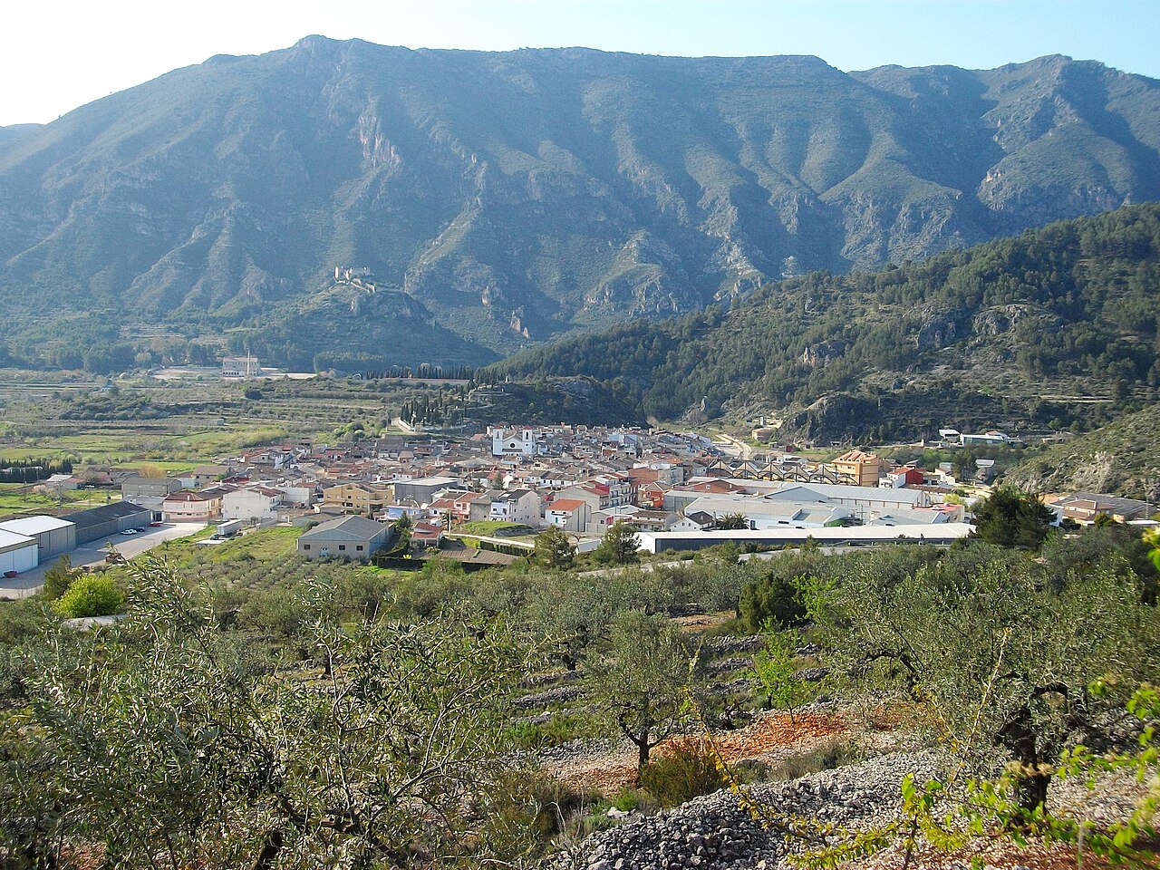 Lorcha, Alicante