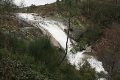 Melón, Ourense