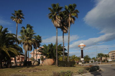 Oliva, Valencia