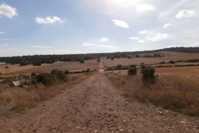 Olmillos de Castro, Zamora