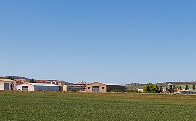 Ólvega, Soria