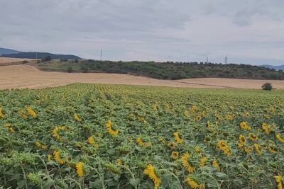 Orkoien, Navarra