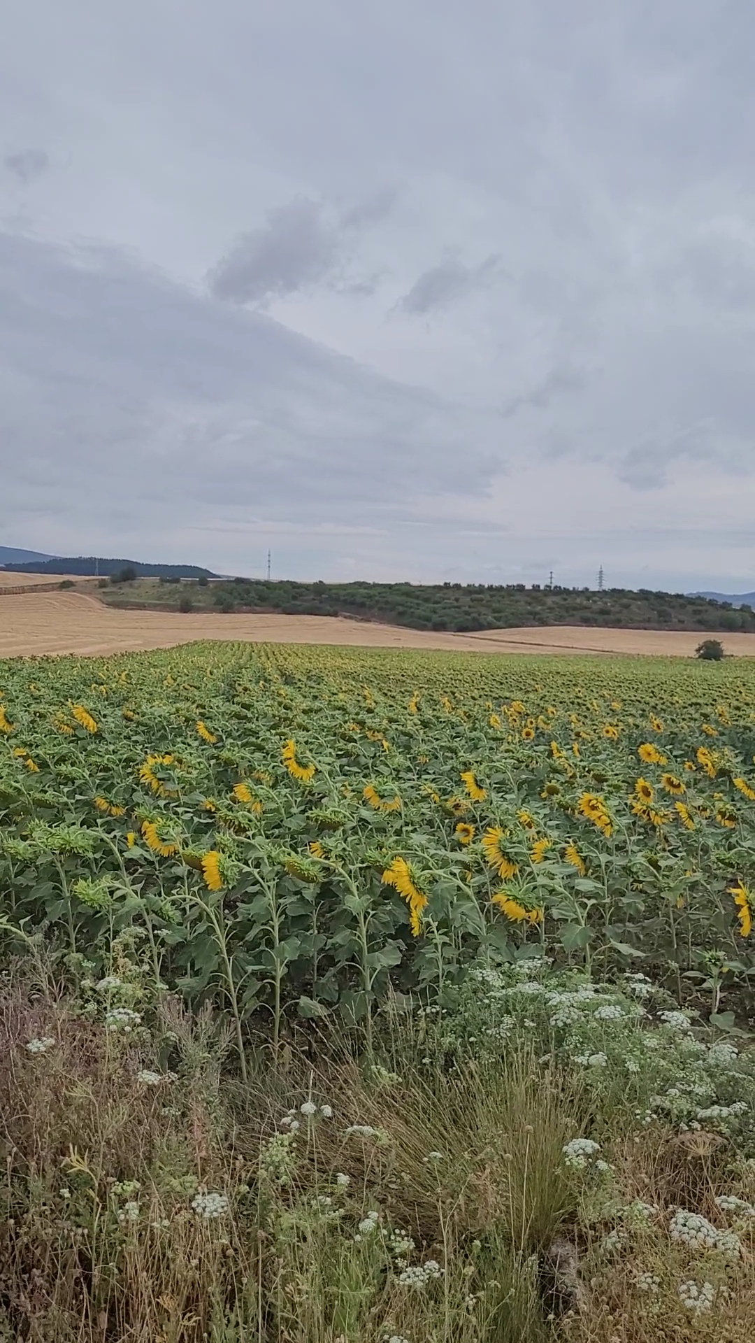 Orkoien, Navarra