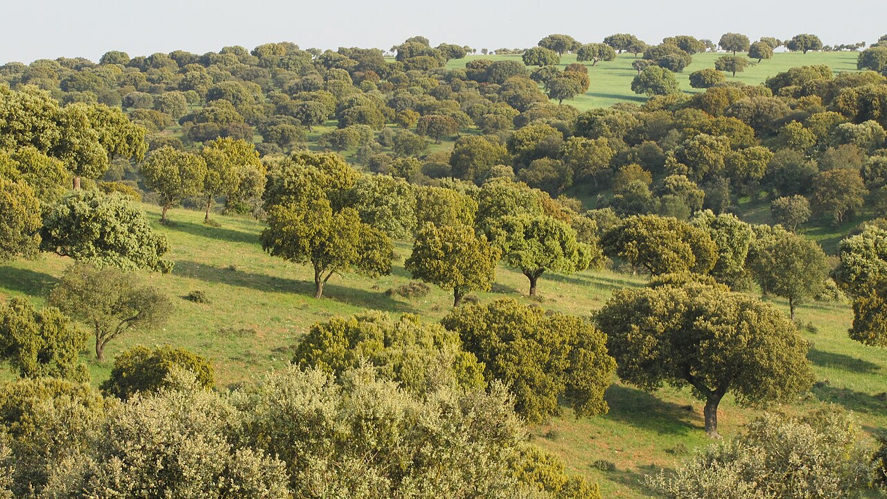 Pelayos, Salamanca
