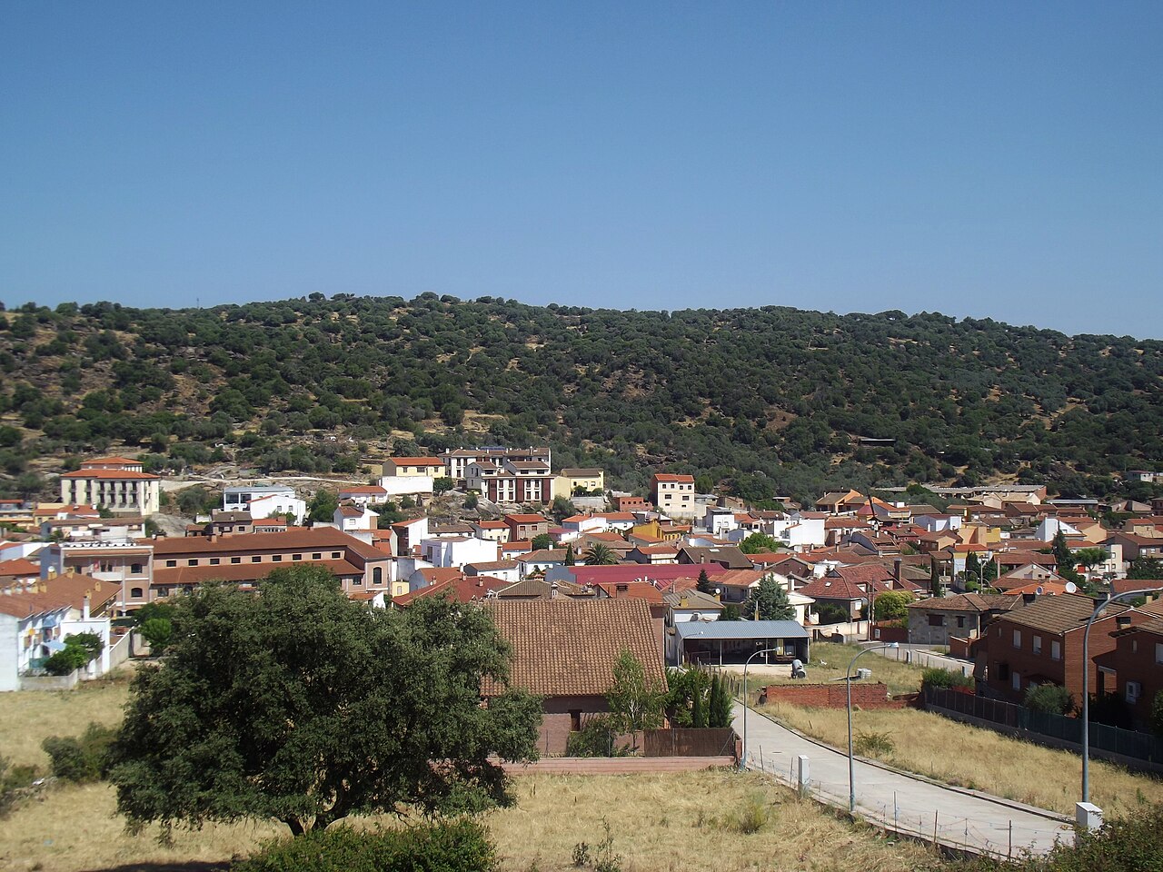 Pepino, Toledo